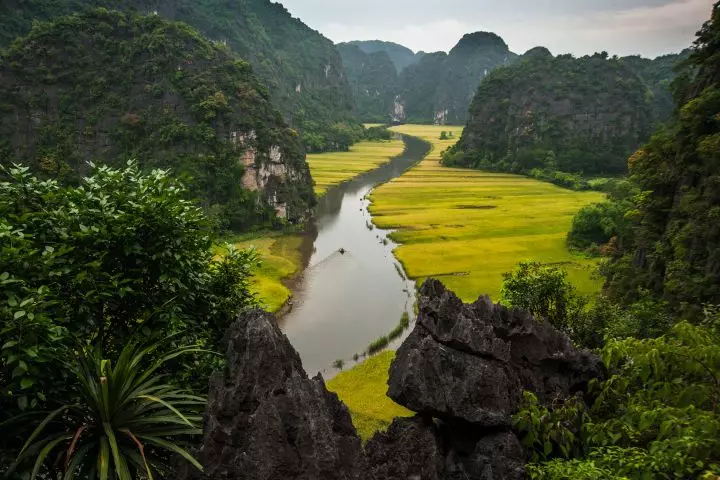 تور دور آسیا