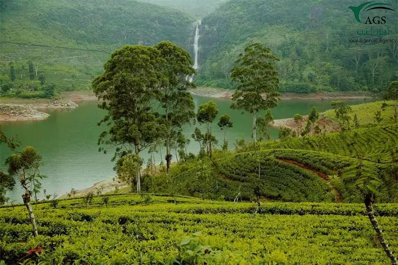 سفر خانوادگی سریلانکا