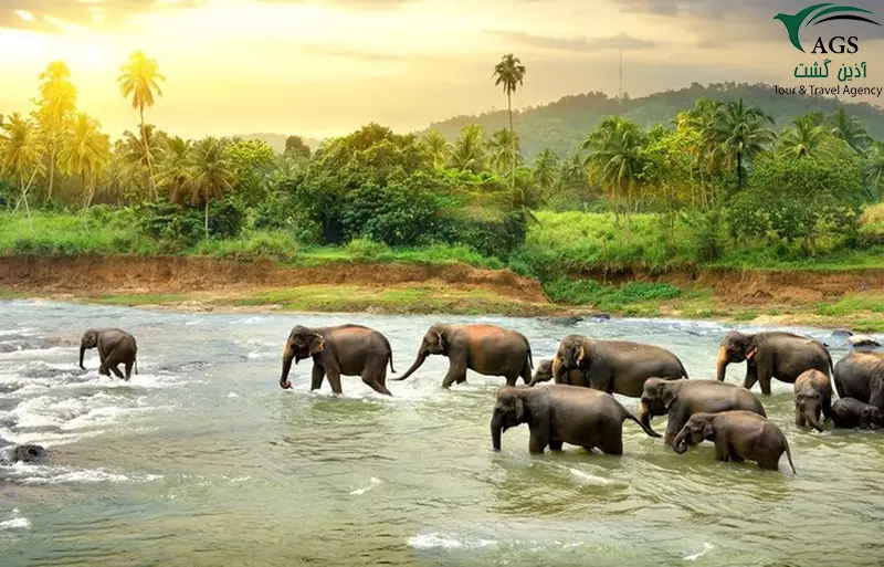 راهنمای سفر به سریلانکا